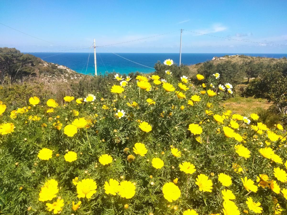 Cala rossa Castellammare del Golfo Exterior foto